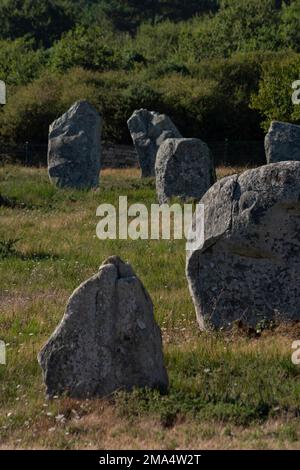 Carnaksteine (megalithische Stätten). Le Méaq Alignments. Die Gemeinde von Carnac. Abteilung Morbihan. Brittany. Frankreich Stockfoto