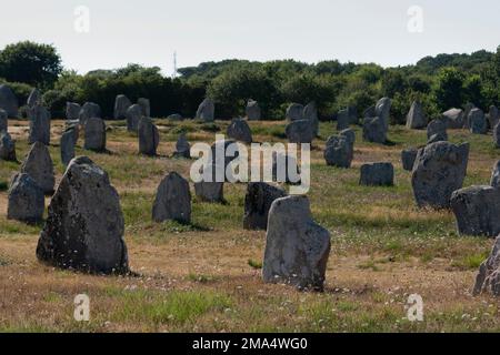 Carnaksteine (megalithische Stätten). Le Méaq Alignments. Die Gemeinde von Carnac. Abteilung Morbihan. Brittany. Frankreich Stockfoto