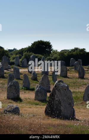 Carnaksteine (megalithische Stätten). Le Méaq Alignments. Die Gemeinde von Carnac. Abteilung Morbihan. Brittany. Frankreich Stockfoto