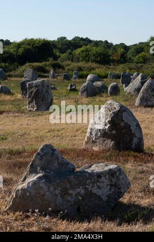 Carnaksteine (megalithische Stätten). Le Méaq Alignments. Die Gemeinde von Carnac. Abteilung Morbihan. Brittany. Frankreich Stockfoto