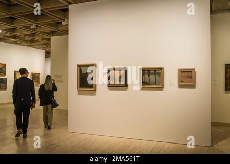 Australische modernistische Kunst, die Art Gallery of New South Wales, Sydney, NSW, Australien Stockfoto