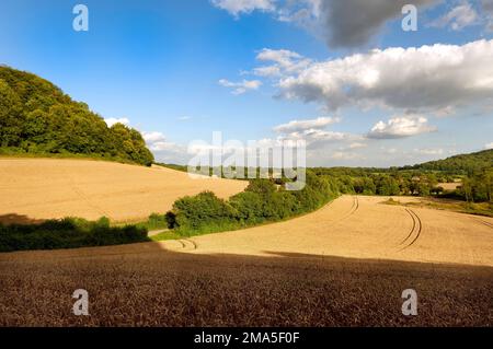 Eine Aussicht von den Hängern in der Nähe von Hawley Stockfoto