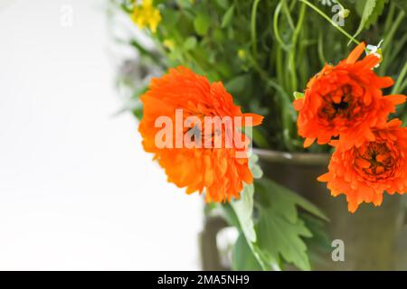 Medizinische Calendula-Kräuter. Helle Sommerblumen in Messingmörtel. Stockfoto