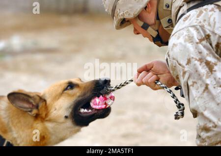 050220-N-6967M-418. Operation/Serie: IRAKISCHE FREIHEITSBASIS: AR Ramadi Staat: Al Anbar Land: Irak (IRQ) Stockfoto