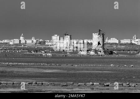 Ruinen von Windmühlen für die Salzproduktion, Salzpfannen mit Flamingos vor der Stadt, Schwarzweißfoto, Riserva naturale orientata Stockfoto