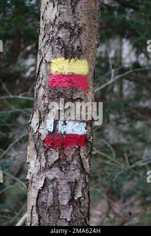 Zwei Markierungen oder Wegweiser, die auf Baumrinde entlang eines Wanderwegs gemalt sind Stockfoto