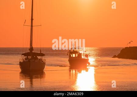 Sonnenuntergang im Hafen von Grau du ROI, einem Fischerdorf in der Nähe der Camargue, in Frankreich. Stockfoto