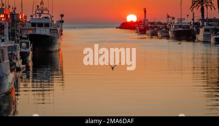 Sonnenuntergang im Hafen von Grau du ROI, einem Fischerdorf in der Nähe der Camargue, in Frankreich. Stockfoto