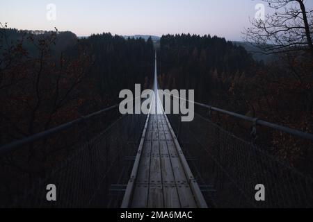 Geierlay Hängebrücke im Winter, Moersdorfer Bachtal, Rheinland-Pfaly, Deutschland Stockfoto