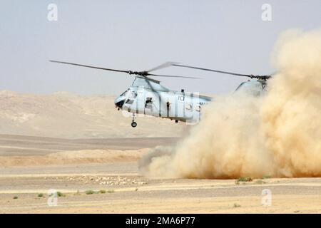 Ein Hubschrauber des US Marine Corps (USMC) CH-46E Sea Knight, der dem Luftkampfelement Marine Combat Element, Marine Medium Helicopter Squadron One Six Two (HMM-162), 26. Marine Expeditionary Unit, Special Operations Capable (MEUSOC) zugeteilt ist, landet auf dem Al Qatranah Range in Jordanien, während er eine bilaterale Trainingsübung mit den jordanischen Streitkräften durchführt. Basis: Al-Qatranah Range Country: Jordanien (JOR) Stockfoto