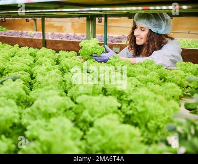 Gärtnerin, die Salat hält und lächelt, während sie das Pflanzenwachstum im Gewächshaus kontrolliert. Fröhliche Frau in Gartenhandschuhen und Einwegmütze mit grüner Blattpflanze. Stockfoto