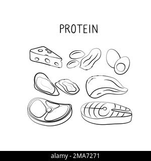 Eiweißhaltige Lebensmittel. Gruppen von gesunden Produkten, die Vitamine und Mineralien enthalten. Obst, Gemüse, Fleisch, Fisch und Milchprodukte. Stock Vektor