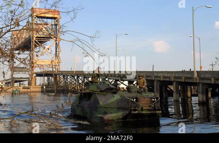 US Marine Corps (USMC) Marines, 4. Assault Amphibian Battalion (AAB), 4. Assault Amphibian Battalion (AAB), Naval Air Station (NAS) Jacksonville, Florida (FL), an Bord eines AAV7A1 Assault Amphibian Fahrzeugs durchsucht die Gegend um die Judge William Louber Bridge, bekannt als Claiborne Avenue, in Chalisiana (LA mette) Für die Überlebenden von Hurrikan Katrina. Die Marines, der Special Purpose Marine Air-Ground Task Force (SPMAGTF) St. Bernard (benannt nach der örtlichen Gemeinde) führt im Rahmen der Joint Task Fo Such- und Rettungsmissionen (SAR) im gesamten Gebiet von New Orleans durch Stockfoto