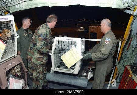 Von links nach rechts entladen die US Air Force (USAF) MASTER Sergeant (MSGT) Andrew Duncan, Technical Sergeant (TSGT) Billy Kelley und SENIOR Sergeant (SMSGT) Steve Hanson notleidende Tiere in Phoenix, Arizona (AZ), aus einem KC-135 Stratotanker-Tankflugzeug und werden in ein Schutzhaus der Arizona Humane Society umgesiedelt. (Doppeltes Bild, siehe auch DFSD0610931 oder suchen Sie nach 050918F1736M068). Basis: Shy Harbor IAP Bundesstaat: Arizona (AZ) Land: Vereinigte Staaten von Amerika (USA) Stockfoto