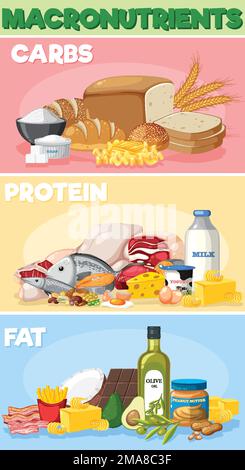 Macronutrients diagram with food ingredients illustration Stock Vektor