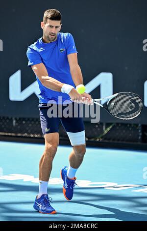 MELBOURNE, AUSTRALIEN - 19. JANUAR: Novak Djokovic von Serbien übt vor seinem Spiel der Runde zwei Singles bei den Australian Open 2023 im Melbourne Park am 19. Januar 2023 in Melbourne, Australien. (Foto: Andy Astfalck/BSR Agency) Stockfoto