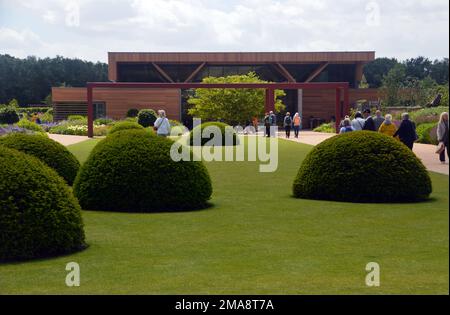 Menschen, die auf dem Rasen neben dem Welcome Garden & Building bei RHS Garden Bridgewater, Worsley, Greater Manchester, Großbritannien, an abgeschnittenen Yew Tree Domes vorbeilaufen. Stockfoto