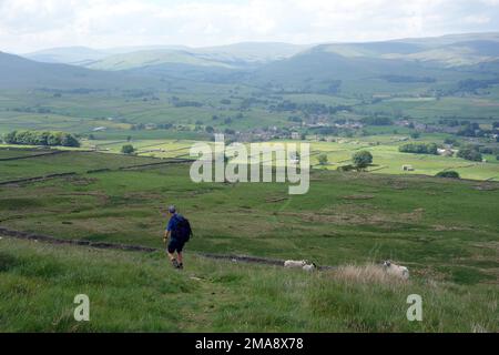 Lone man Walking (Hiker) auf Path in der Nähe des Pennine Way in Hawes Wensleydale, Yorkshire Dales National Park, England, Großbritannien. Stockfoto