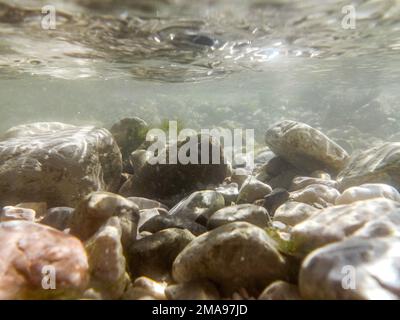 Wasser still und steigend in deutschland und osterreich Stockfoto