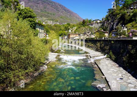 Wunderschöner Blick auf den Fluss Mallero Adda in Sondrio, Valtellina, Italien Stockfoto