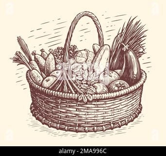 Gesundes frisches Bio-Gemüse in einem Korb aus Korb. Konzept der natürlichen landwirtschaftlichen Ernährung. Vektorzeichnung - Vintage Stock Vektor