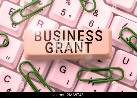 Konzeptdarstellung - Unternehmenszuschuss. Mit den Arbeitsstrategien für das Internet-Konzept werden Ziele erreicht Stockfoto