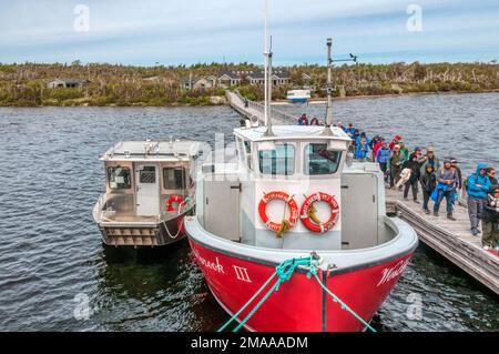 Touristen besteigen Boote am Western Brook Pond für eine malerische Bootsfahrt im Gros Morne National Park, Neufundland. Stockfoto