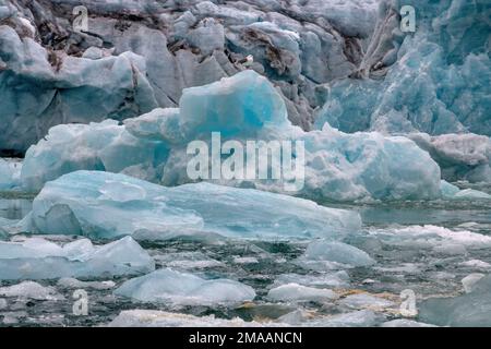 Glaucous Gulls, Larus hyperboreus, hoch oben auf einem Eisberg. Expeditions-Kreuzfahrtschiff Greg Mortimer in Svalbard-Archipel, Nordnorwegen. Zodiac-Kreuzfahrt Stockfoto