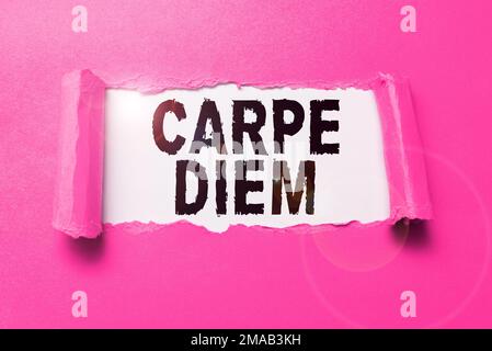 Text wird angezeigt Carpe Diem. Business Idea Public Festival, bei dem Menschen Musik und Tanz spielen Stockfoto