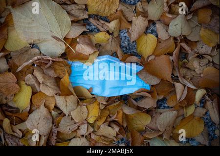 03.10.2022, Deutschland, Berlin - Eine gebrauchte und weggeworfene Corona (Covid-19) Mundschutzmaske liegt auf dem Boden inmitten der herbstlichen Blätter. 0SL221003D0 Stockfoto