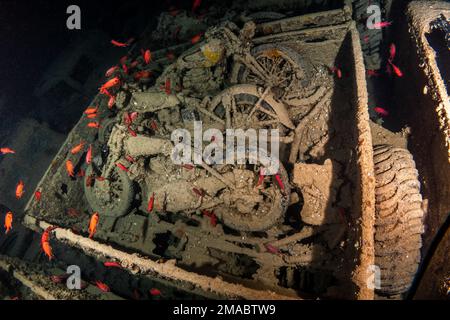 Thistlegorm Norton 16H und BSA Motorräder, in der Frachthalle, einige liegen in Bedford Trucks zurück, das Rote Meer Ägypten ist das beste Wrack der Welt Stockfoto