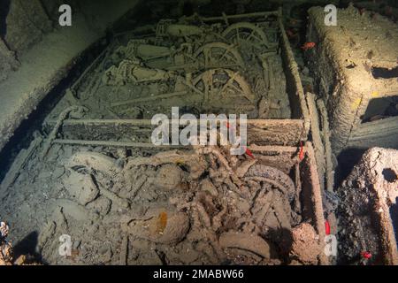 Thistlegorm Norton 16H und BSA Motorräder, in der Frachthalle, einige liegen in Bedford Trucks zurück, das Rote Meer Ägypten ist das beste Wrack der Welt Stockfoto