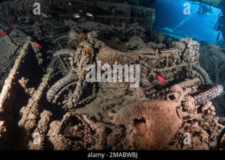 Thistlegorm Norton 16H und BSA Motorräder, in der Frachthalle, einige liegen in Bedford Trucks zurück, das Rote Meer Ägypten ist das beste Wrack der Welt Stockfoto