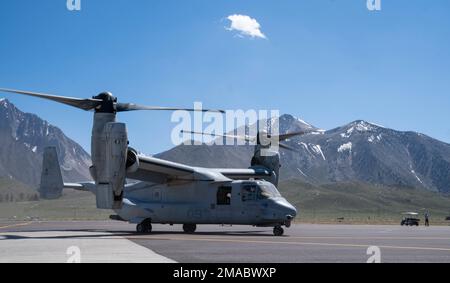 Eine MV-22 Osprey vom Marine Medium Tiltrotor Squadron 161 (VMM-161), Marine Corps Air Station Miramar, Kalifornien, führt am Mammoth Yosemite Airport in Mammoth Lakes, Kalifornien, eine Landung in großer Höhe durch. 24. Mai 2022. Die VMM-161 führte während einer Übung im Mountain Warfare Training Center in Bridgeport, Kalifornien, eine logistische Unterstützungsmission und Flugtrianing in hohen Höhen durch. Stockfoto