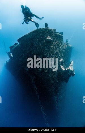 SS Thistlegorm war ein britisches Frachtschiff, das 1940 in Nordostengland gebaut und 1941 von deutschen Bomberflugzeugen im Roten Meer versenkt wurde Stockfoto