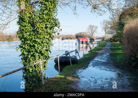 Sonning, Berkshire, Großbritannien. 19. Januar 2023. Nach heftigen Regenfällen im Januar ist die Themse am Ufer von Sonning in Berkshire geplatzt. Das Wasser der Themse pumpte heute in der Nähe der Sonning Bridge Wasser weg. Ein Hochwasseralarm für die Themse von Mapledurham bis Sonning bleibt bestehen. Kredit: Maureen McLean/Alamy Live News Stockfoto