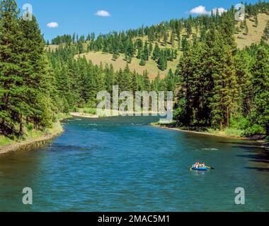 Sparren, Angeln am Fluss in der Nähe von Potomac, Montana blackfoot Stockfoto