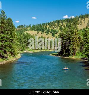 Sparren, Angeln am Fluss in der Nähe von Potomac, Montana blackfoot Stockfoto