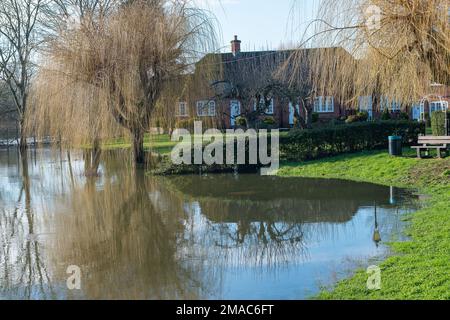 Sonning, Berkshire, Großbritannien. 19. Januar 2023. Nach heftigen Regenfällen im Januar ist die Themse am Ufer von Sonning in Berkshire geplatzt. Das Wasser der Themse pumpte heute in der Nähe der Sonning Bridge Wasser weg. Ein Hochwasseralarm für die Themse von Mapledurham bis Sonning bleibt bestehen. Kredit: Maureen McLean/Alamy Live News Stockfoto