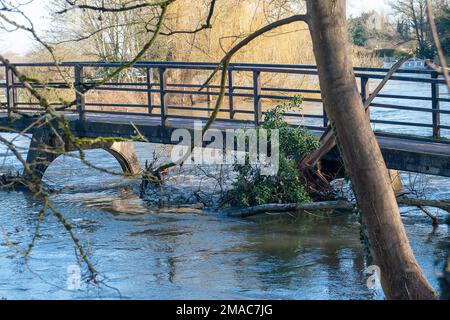 Sonning, Berkshire, Großbritannien. 19. Januar 2023. Nach heftigen Regenfällen im Januar ist die Themse am Ufer von Sonning in Berkshire geplatzt. Das Wasser der Themse pumpte heute in der Nähe der Sonning Bridge Wasser weg. Ein Hochwasseralarm für die Themse von Mapledurham bis Sonning bleibt bestehen. Kredit: Maureen McLean/Alamy Live News Stockfoto