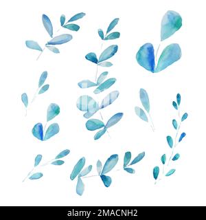 Satz von handbemalten Zweigen in Aquarell auf weißem Hintergrund. Stock Vektor