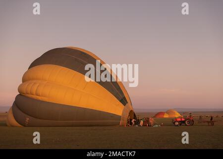 Heißluftballons werden bei Sonnenaufgang aufgepumpt Stockfoto