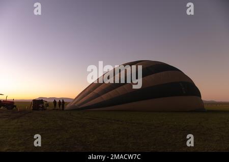 Heißluftballons werden bei Sonnenaufgang aufgepumpt Stockfoto