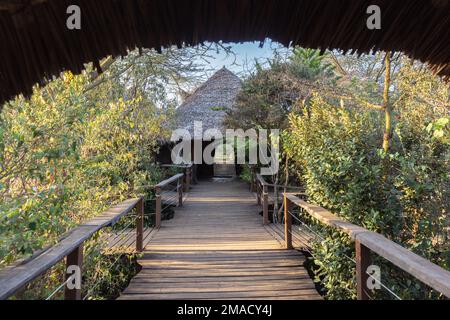 Kenianische Öko-Lodge Stockfoto