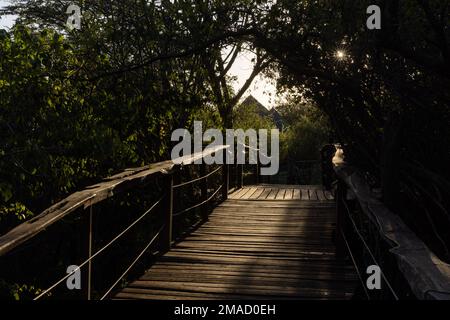 Fußgängerbrücke in der African Eco Lodge Stockfoto