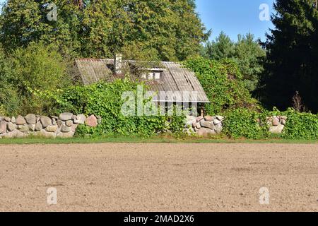 Ein kleines Cottage abseits der ausgetretenen Pfade, umgeben von einer Steinmauer mitten am Tag. Stockfoto