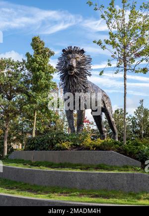 Aslan in Bronze: Eine Bronzestatue von Maurice Harron von Aslan der Stern der Serie Cronicles von Narnia von C. S. Lewis bewacht einen kleinen Platz, der nach dem Autor in Belfast benannt wurde. Stockfoto