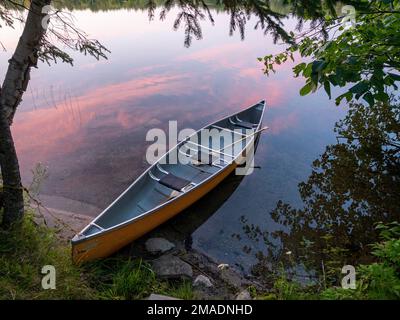 Gelbes Kanu an der Küste: Ein gelbes Glasfaserkanu mit zwei Paddeln, die an einen Baum gebunden sind, während das Rot eines Sonnenuntergangs im ruhigen Wasser eines westlichen Quebec-Sees reflektiert. Stockfoto
