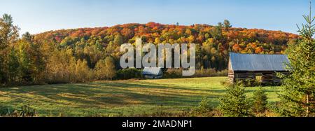 Verlassene Scheunen und Herbstfarben: Stillgelegte Scheunen und Nebengebäude, umgeben von den Herbstfarben der Hügel, die das westliche Waldland von Quebec bilden. Stockfoto