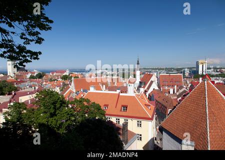 Estland, Tallinn, Blick über die Altstadt von Tallinn. Stockfoto